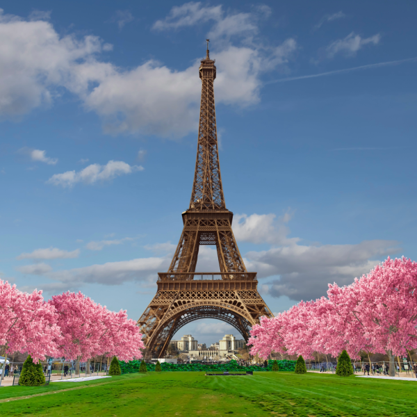 Eiffel Tower Spring Adobe Express
