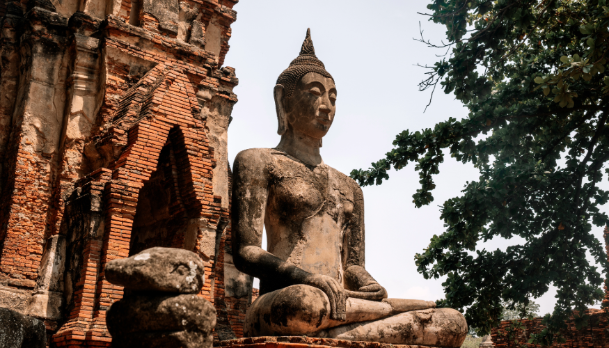 Website Images Adobe 2 (19)