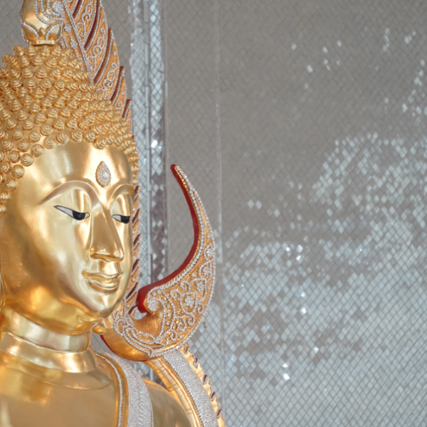 Website Images Adobe 2 (88)