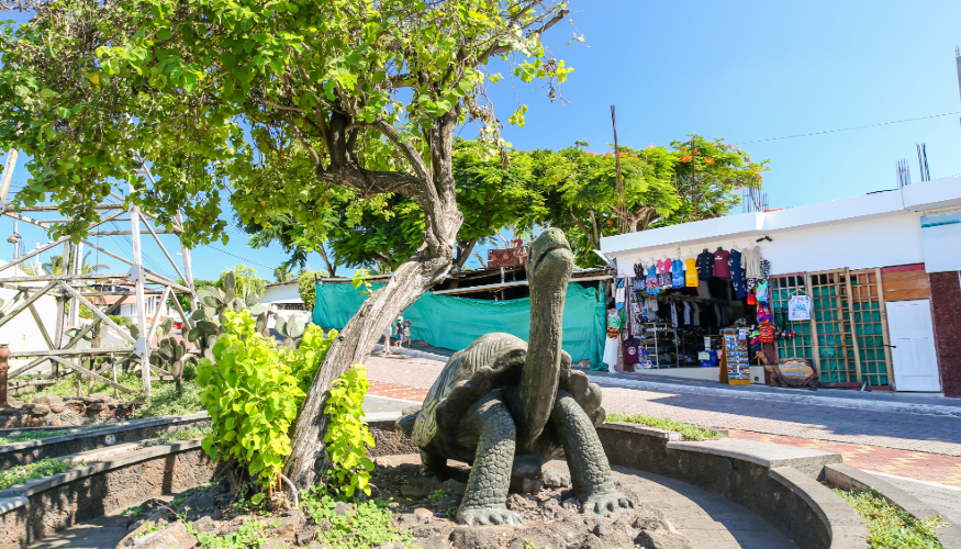 Puerto Ayora